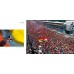 50 ANNI DI FOTOGRAFIA DI FORMULA 1 - OUTLET